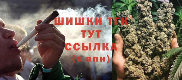 не бодяженный Арсеньев