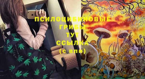 молекула духа Армянск