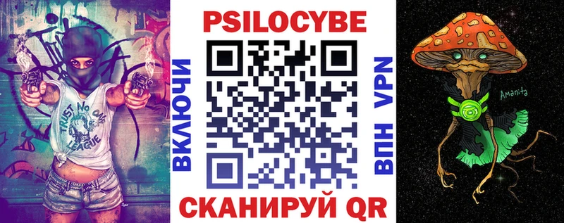 Псилоцибиновые грибы мицелий Моздок
